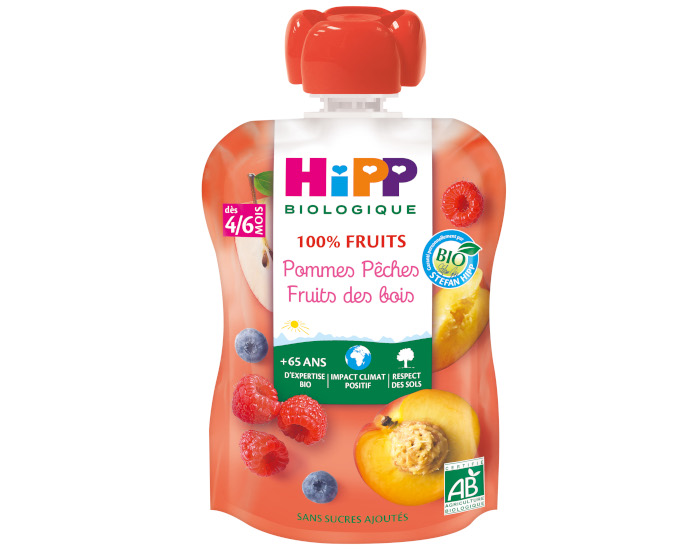 HIPP Gourde 100% Fruits - Ds 4 Mois - 90g Pomme Pche Fruits des Bois