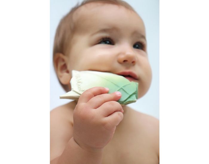 H2Origami Tortue - Jouet de dentition - Ds la naissance (4)
