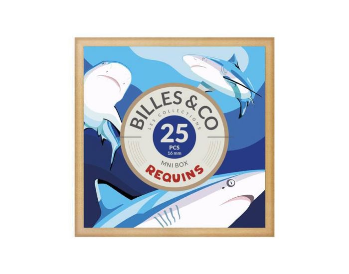BILLES & CO Coffret de 25 billes - Ds 6 ans