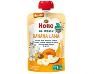 HOLLE Gourde Banane Pomme Mangue Abricot - 100 g - Ds 6 mois